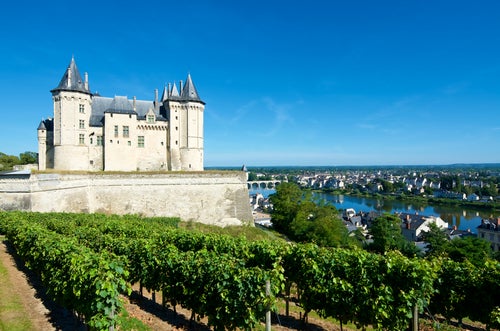 Saumur chateau with vineyards in the foreground and the river loire in the distance against a blue sky