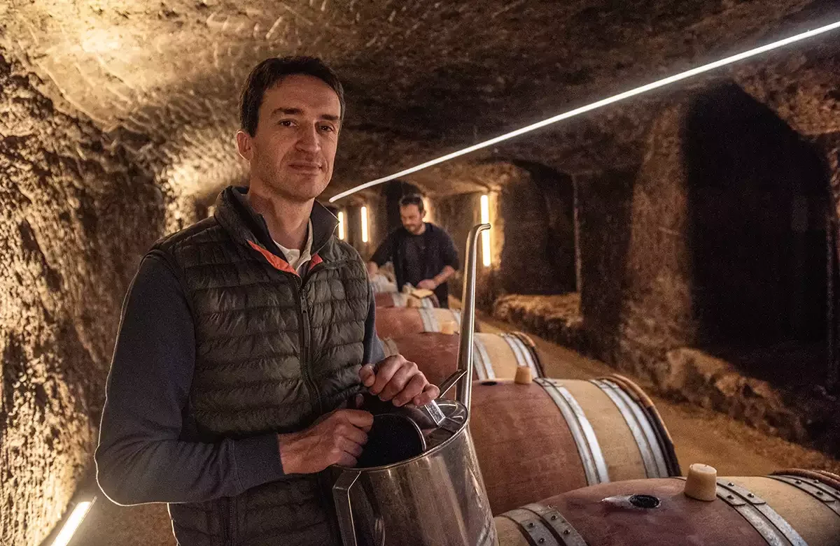 Clos Rougeard: The lion in spring Clos Rougeard: The lion in spring