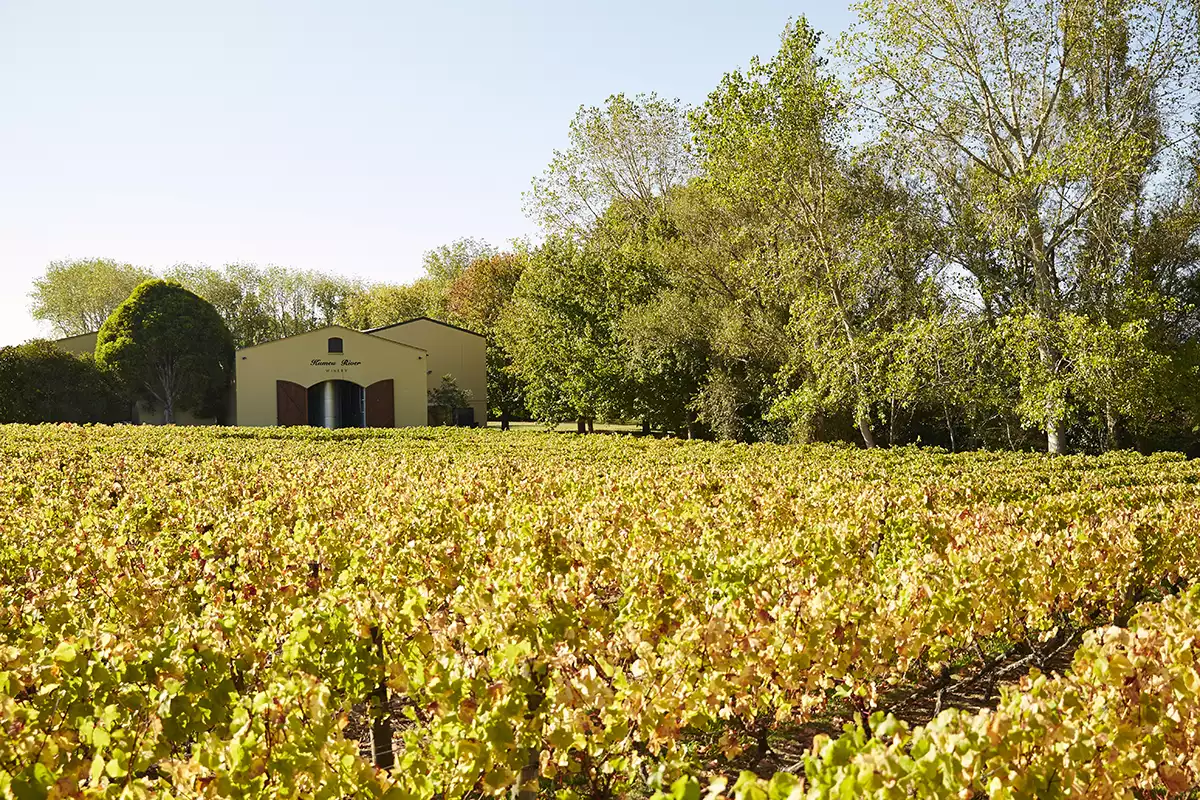 Kumeu River 80th Anniversary: 2002–2020 Chardonnay Kumeu River 80th Anniversary: 2002–2020 Chardonnay