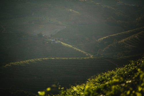 Rain and sunlight and a rainbow over vineyards in the Douro Valley