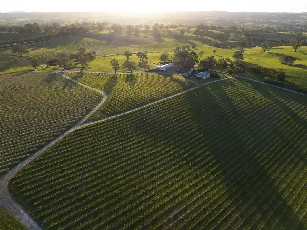 Aerial view of Cyril Henschke Vineyard, Eden Valley.
