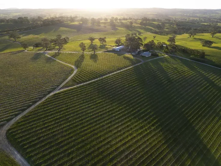 Aerial view of Cyril Henschke Vineyard, Eden Valley.