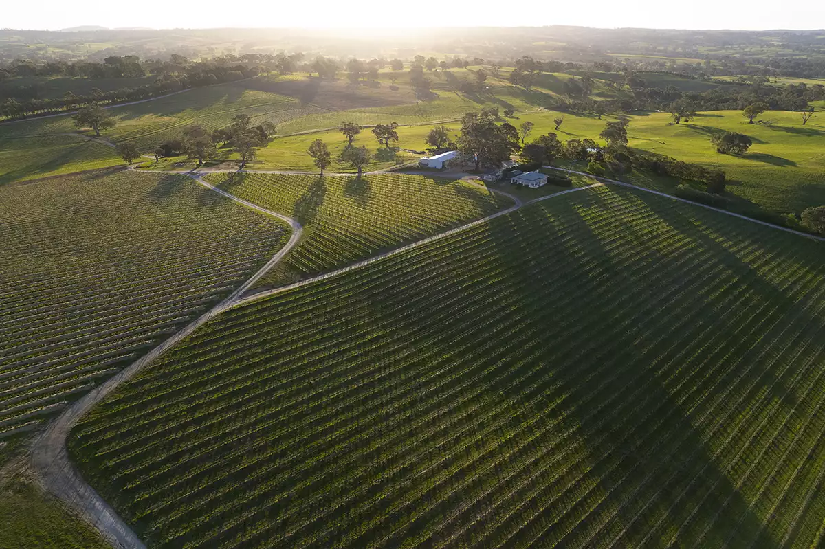 Henschke 2021 single-vineyard releases: A place among the greatest Henschke 2021 single-vineyard releases: A place among the greatest