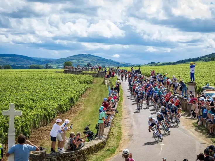 A stream of cyclists pass through a vineyard with crowds on either side of the road on a sunny but cloudy day during the 2024 Tour de France