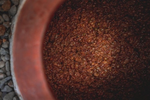 Photo of Rediscovering wine from whole fruit