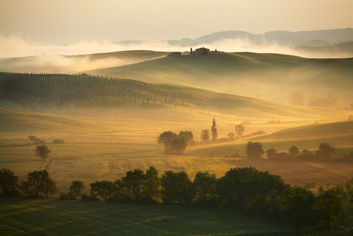 Brunello di Montalcino vineyards on hills into the distance in the mist