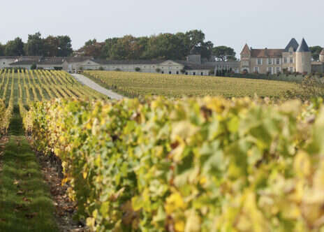 Family tragedy, revolution, and botrytis Family tragedy, revolution, and botrytis