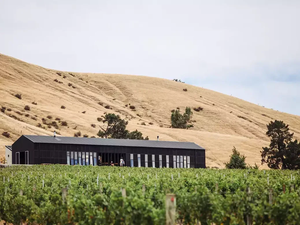 A low black building in a vineyard in front of a bare sand-colored hill.