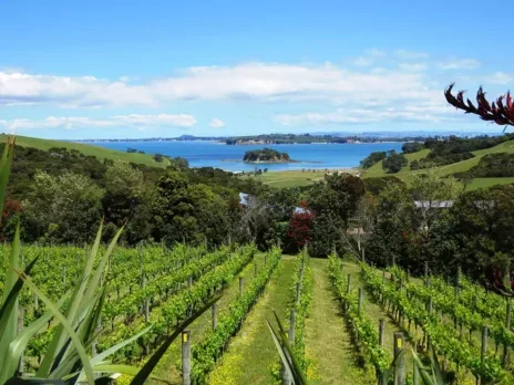 A New Zealand fine-wine journey: Auckland