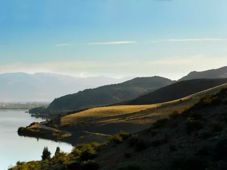 Fine wine in New Zealand: An extraordinary impact