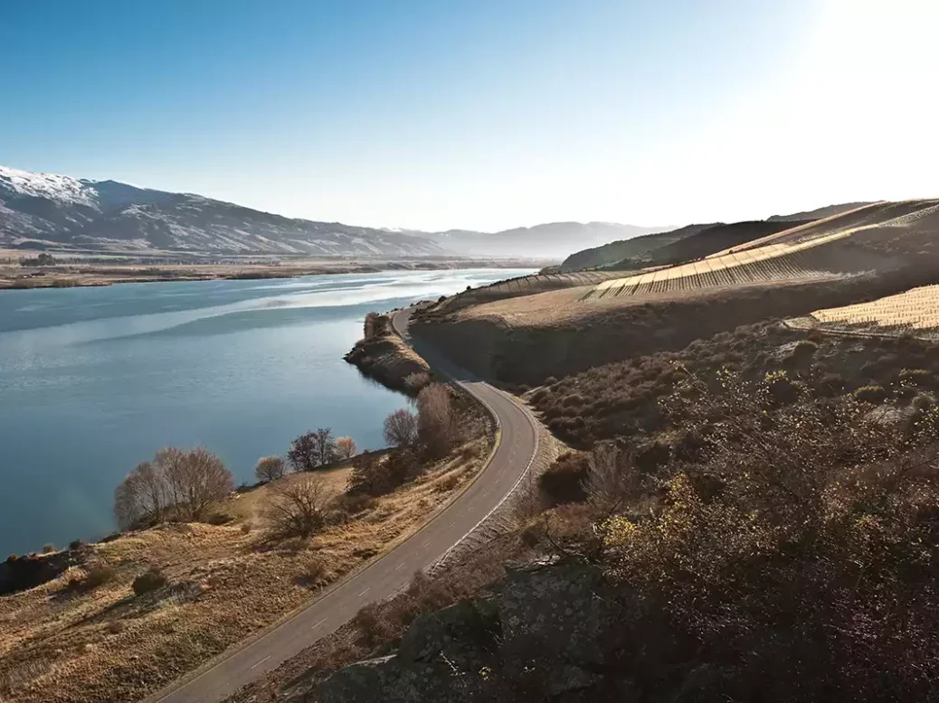 A spectacular view of Misha's vineyard by a lake in Central Otago, with a road running through it.