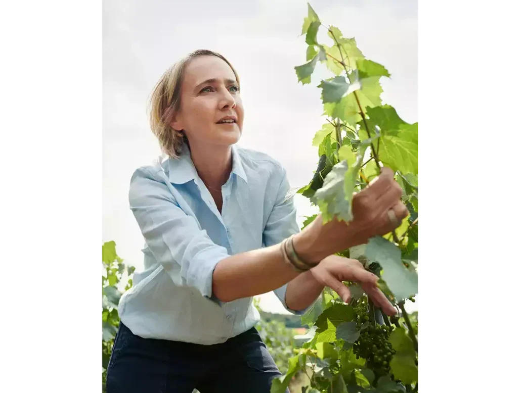 Julie Cavil with blond hair and light blue shirt holding a vine in a Krug vineyard.