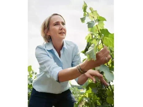 Behind the scenes at Krug