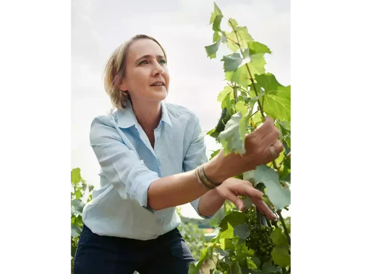 Julie Cavil with blond hair and light blue shirt holding a vine in a Krug vineyard.