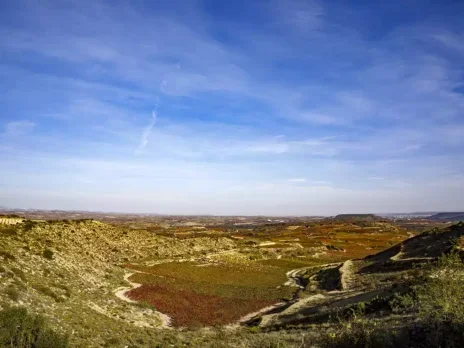 Rioja at 100 and a crossroads