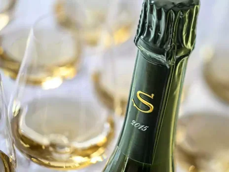 2015 Salon Le Mesnil: Gloriously flattering