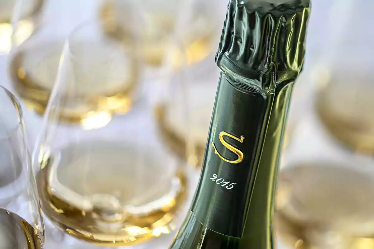 2015 Salon Le Mesnil: Gloriously flattering