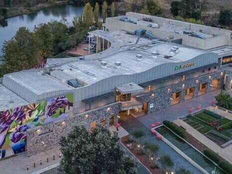 Exploring old vines online