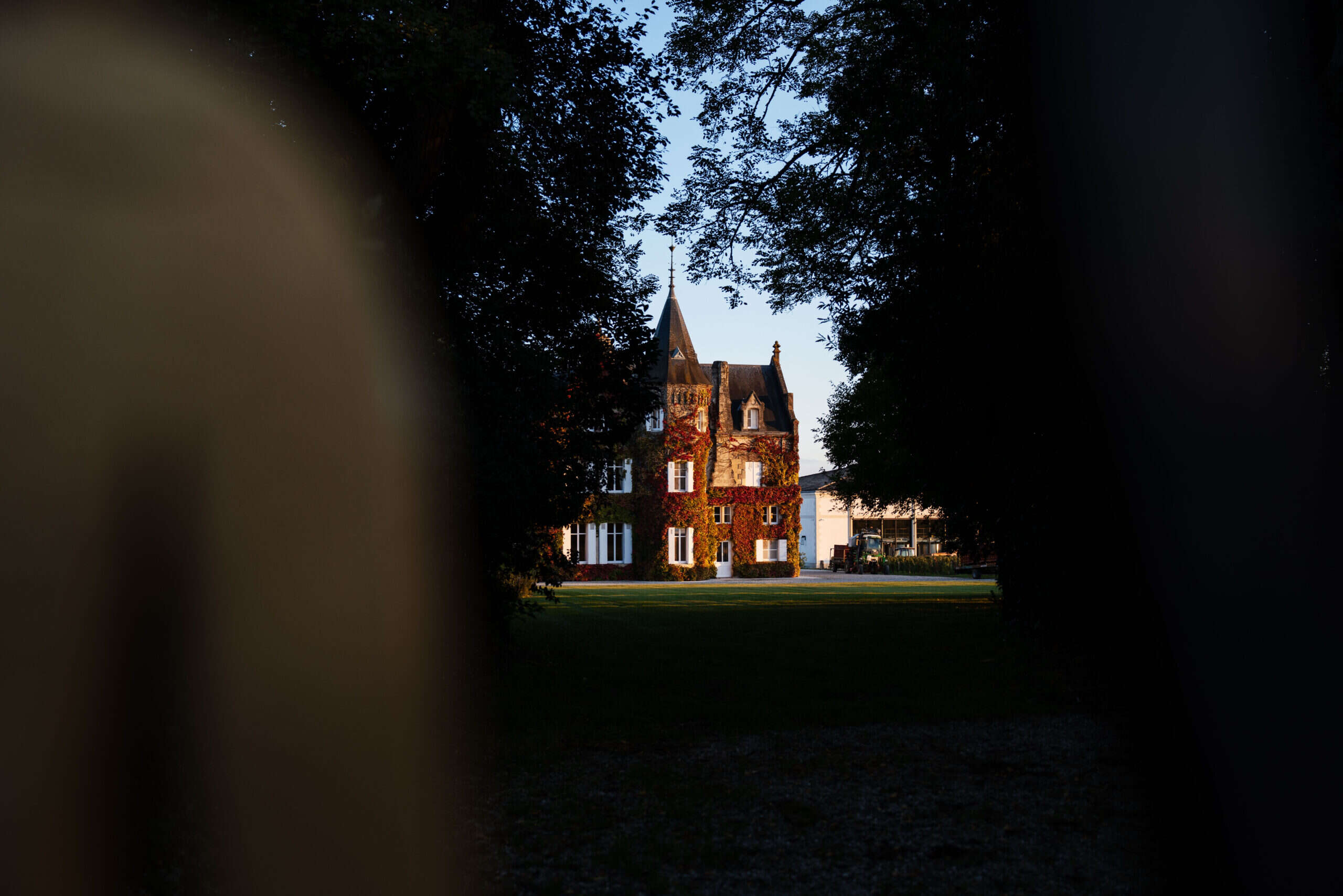 Château Lascombes: The second coming