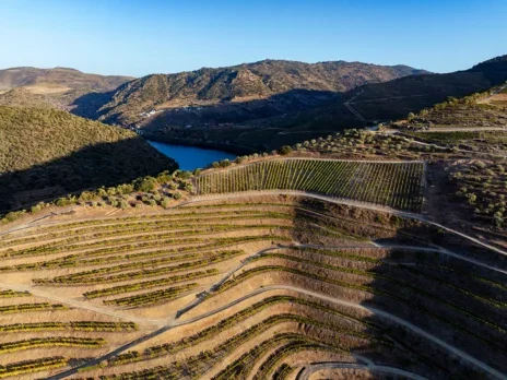 The new Douro viticulture