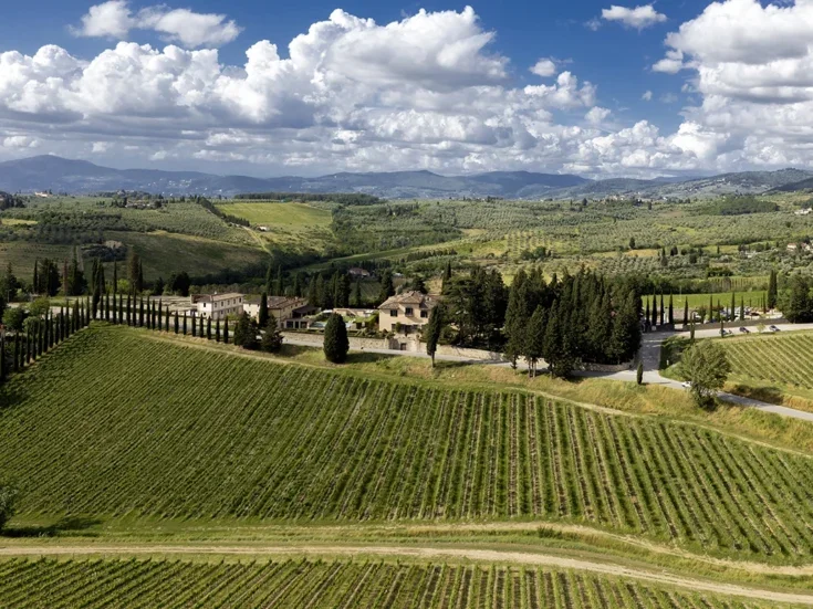 A view of vineyards on hills with cypress trees around a tuscan villa, Ruffino