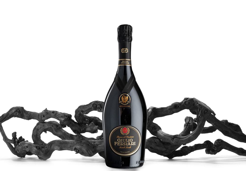 A bottle of 2007 Ferrari Giulio Ferrari Collezione with a vine branch on a white background in a studio
