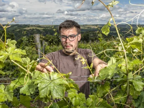 The Pilgrimage of Grace