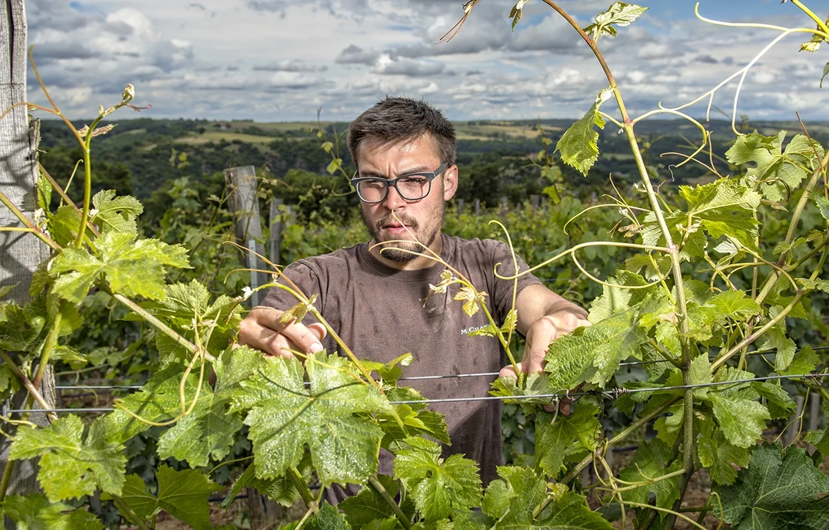 The Pilgrimage of Grace