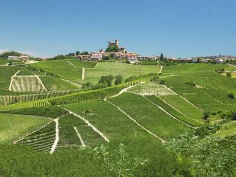 Massolino Vigna Rionda 1996–2019: