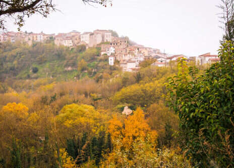 Greco di Tufo: Intrigue and caprice in Campania