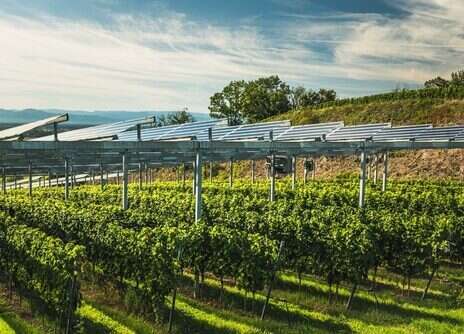 Navigating the best and worst of times