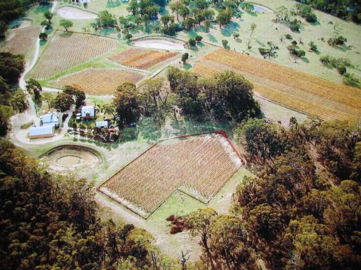 An aerial view of vineyards and a winery building