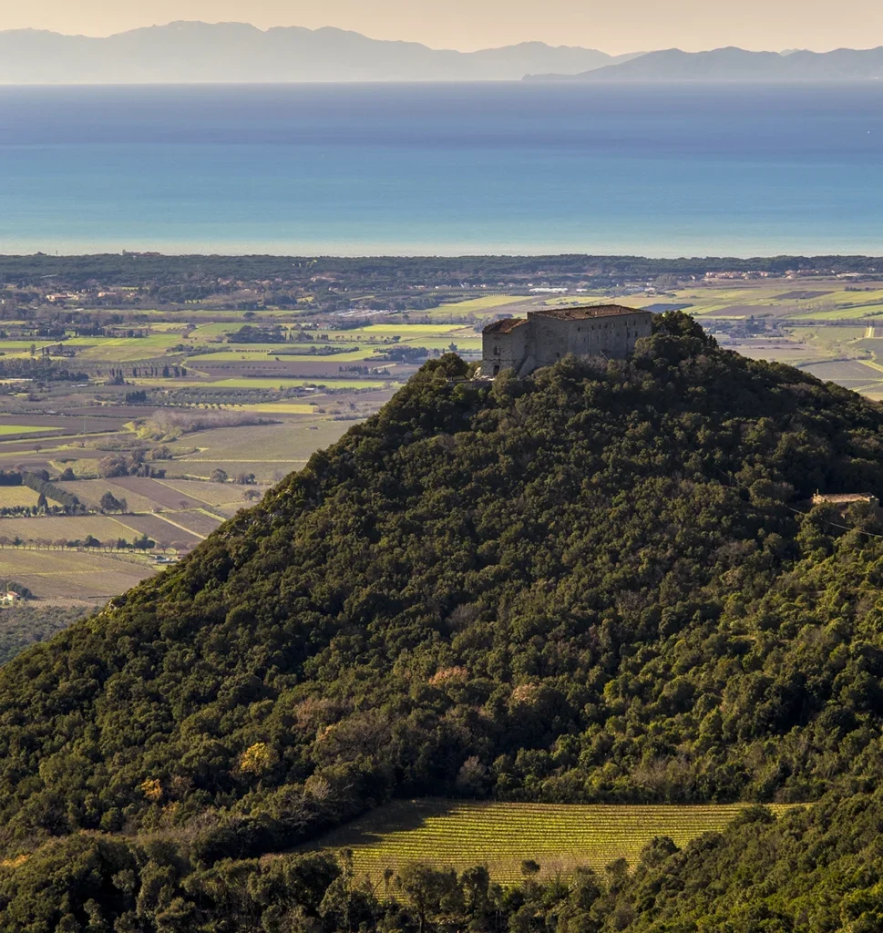 A big forested hill with a patch of vineyards on the side and a castle on top and views to the sea in the far distance