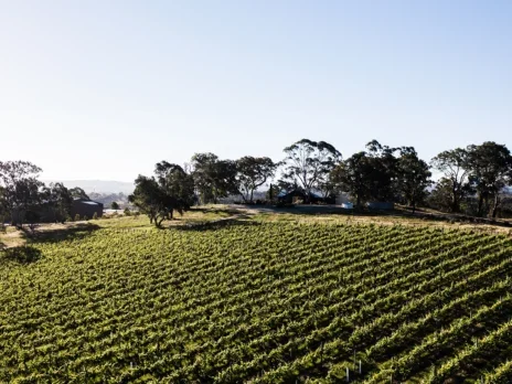 Australian Chardonnay: Adelaide Hills
