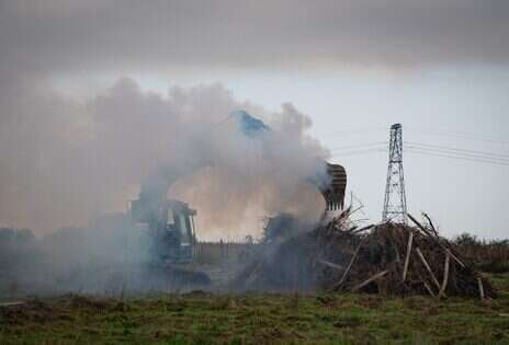 Wine in history: Wine gluts