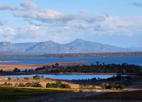 Australian Chardonnay: Tasmania