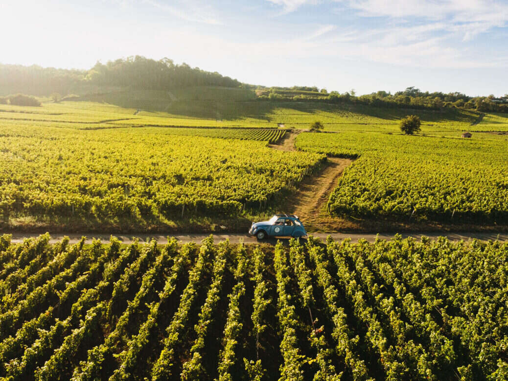 A small car in a vineyard