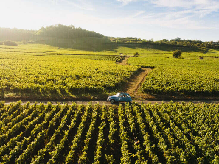 A small car in a vineyard