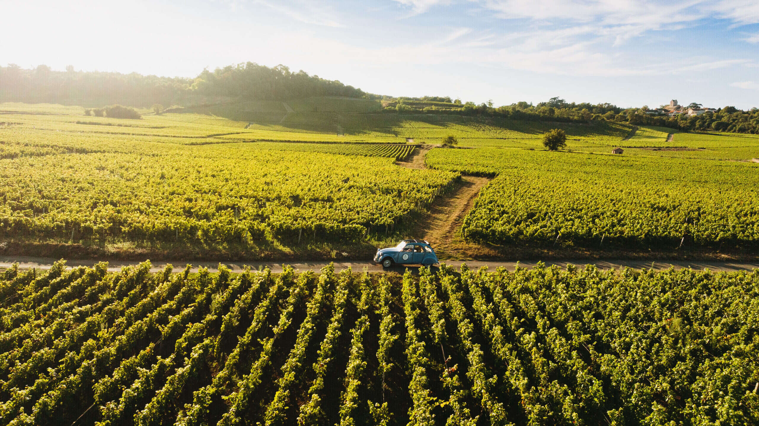 Burgundy: A journey through taste, heritage, and reconnection