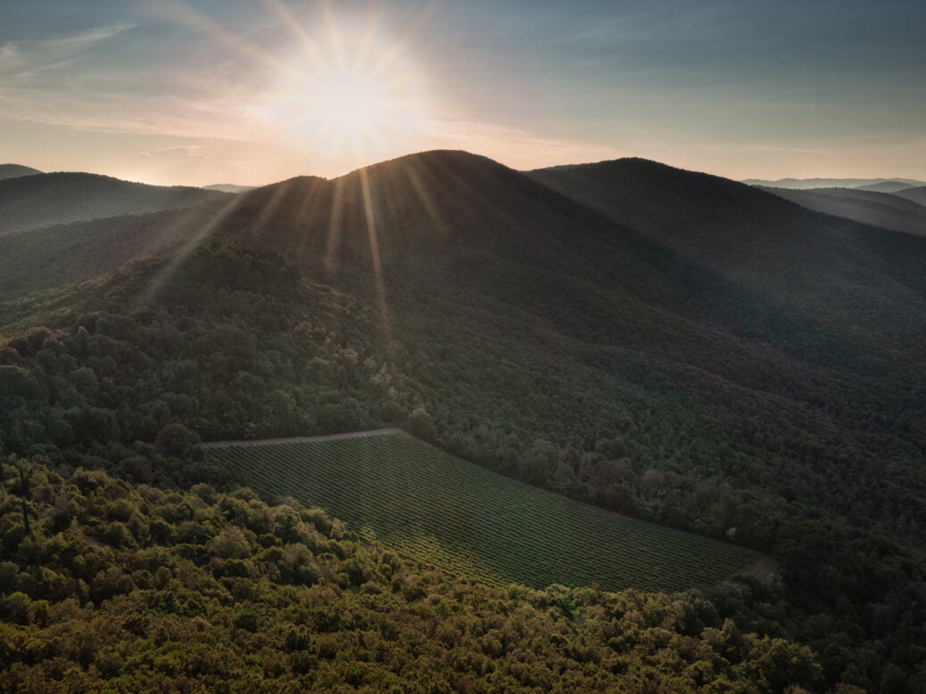The sun coming down over vineyards and hills in the distance,