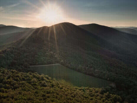Tenuta San Guido: Oodles of charm