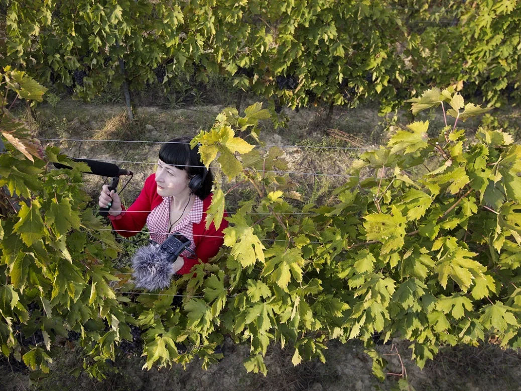 Jo Burzynska with red cardigan and red gingham top and black hair holding a microphone in the vines, viewed from above
