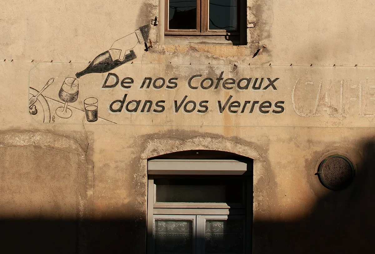 The evolving languages of Pinot Noir