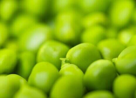 At the table: <em>Risi e bisi</em>