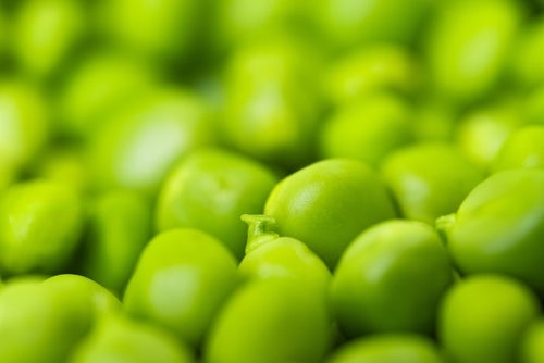 a close up of some very brightly coloured fresh green peas