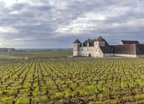 2008 and 2013 red Burgundy: The maturity of middle-age?