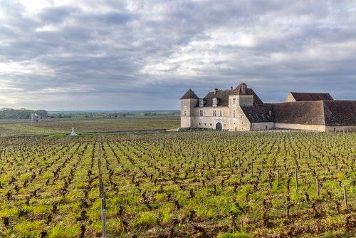 Clos de Vougeot with the chateau on the right of the shot and with rows of vines and a grey cloudy sky