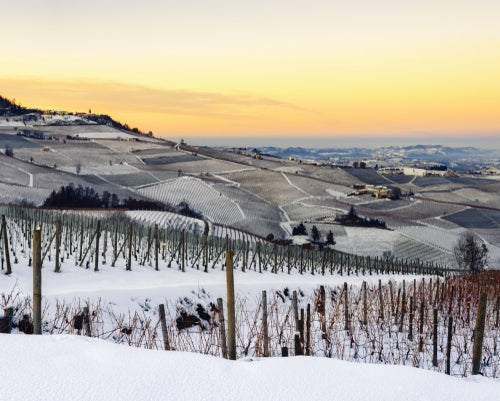 Barolo hilly vineyards covered in snow with a yellow sunset sky