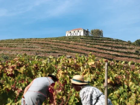 2024 Vintage Port: Symington Family Estates