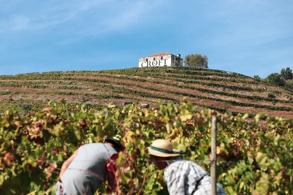 2024 Vintage Port: Symington Family Estates